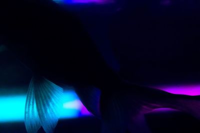 Close-up of illuminated light against blue background