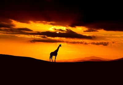 Silhouette of landscape at sunset