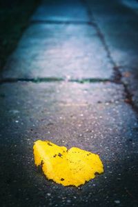 Close-up of yellow dry leaf on street