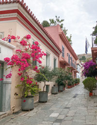 Potted plants outside house against sky