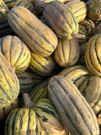 Full frame shot of pumpkins at market stall