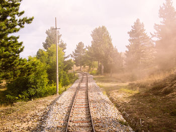 Railroad tracks amidst trees against sky