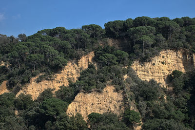 High angle view of plants against sky