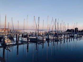 Sailboats moored in harbor against clear sky