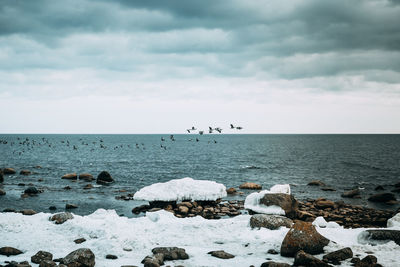 Flock of birds flying over sea against cloudy sky