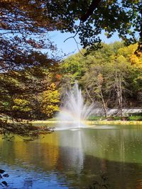 Scenic view of waterfall in forest