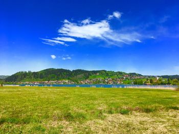 Scenic view of field against blue sky