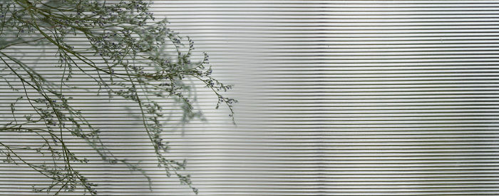 Full frame shot of patterned window
