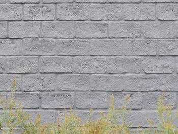 Full frame shot of brick wall