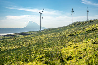 environmental conservation