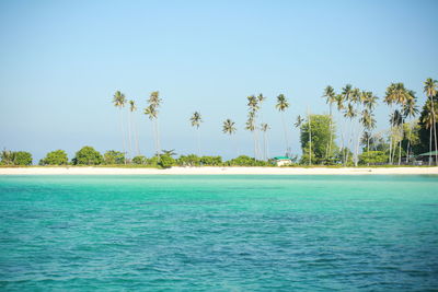 Scenic view of sea against clear sky