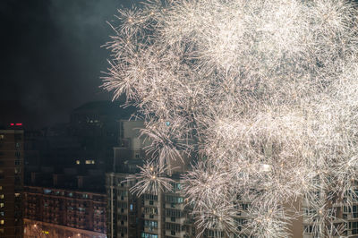 Firework display at night