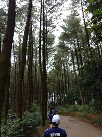 Rear view of man amidst trees in forest