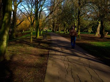 Rear view of man walking at park