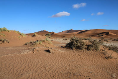 Sand dunes in desert against sky