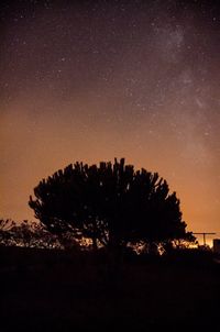 Low angle view of silhouette trees against sky at night