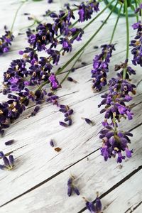 High angle view of scattered lavender flowers on table