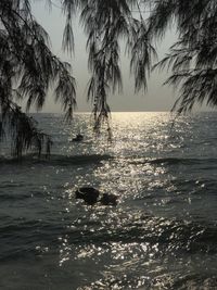 Silhouette trees by sea against sky