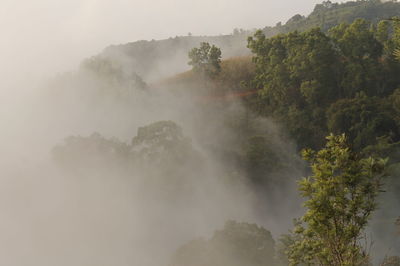 Scenic view of forest against sky during foggy weather