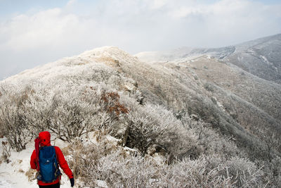 Man hiking on snow covered landscape