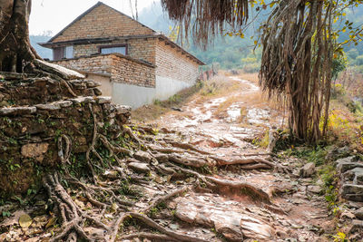 Buildings against sky