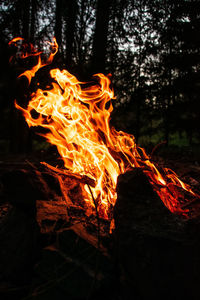 Close-up of fire in the dark