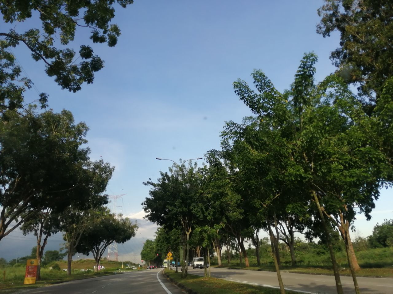 STREET AMIDST TREES AND PLANTS AGAINST SKY