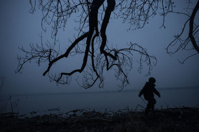 Silhouette of man standing on bare tree at dusk