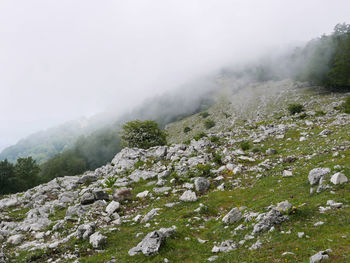 Beautiful rural landscape walking along the mount autore, in italy