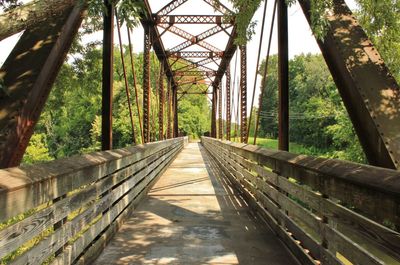 Bridge amidst trees