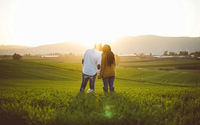 Rear view of friends on grass against sky during sunset