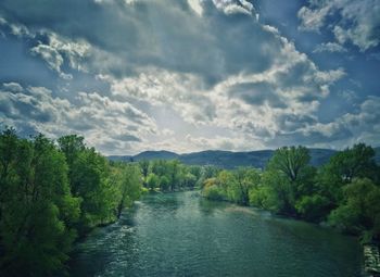 Scenic view of river amidst trees against sky