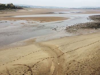 Scenic view of beach