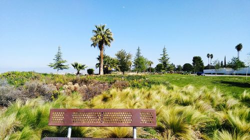 Empty metallic bench on grassy field at park