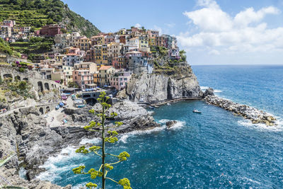 Aerial view of manarola in the cinque terre