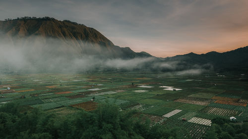 environment
