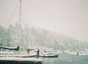 Sailboats moored on frozen lake against sky