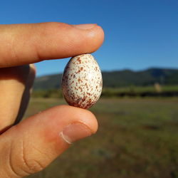 Close-up of hand holding apple against clear sky