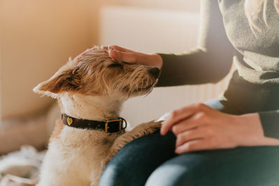 Midsection of woman with dog sitting at home