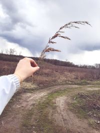 Midsection of person holding plant on field against sky