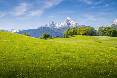 Scenic view of field and mountains against sky