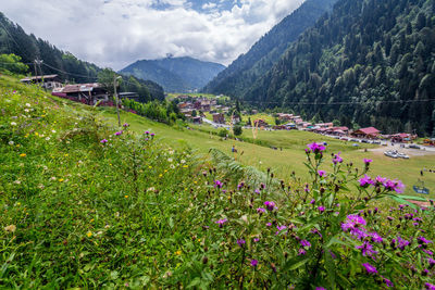 Scenic view of grassy field by mountains against sky