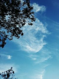 Low angle view of trees against cloudy sky