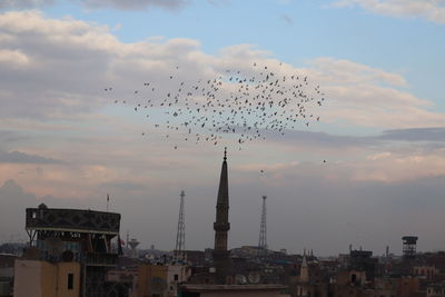 Birds flying in city against sky