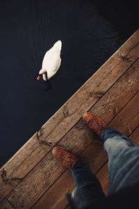 Low section of man standing on wooden pier