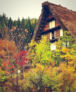 Plants and trees by house against sky during autumn