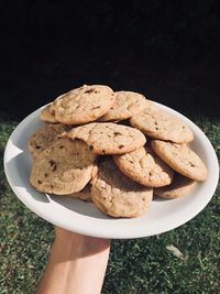 Cropped hand carrying cookies in plate