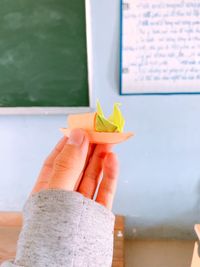 Close-up of hand holding plant