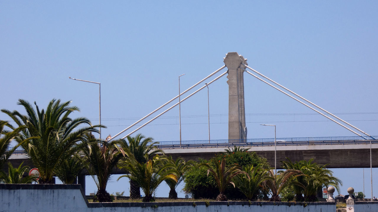 PALM TREES BY SUSPENSION BRIDGE AGAINST SKY