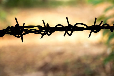 Close-up of silhouette barbed wire fence against sky